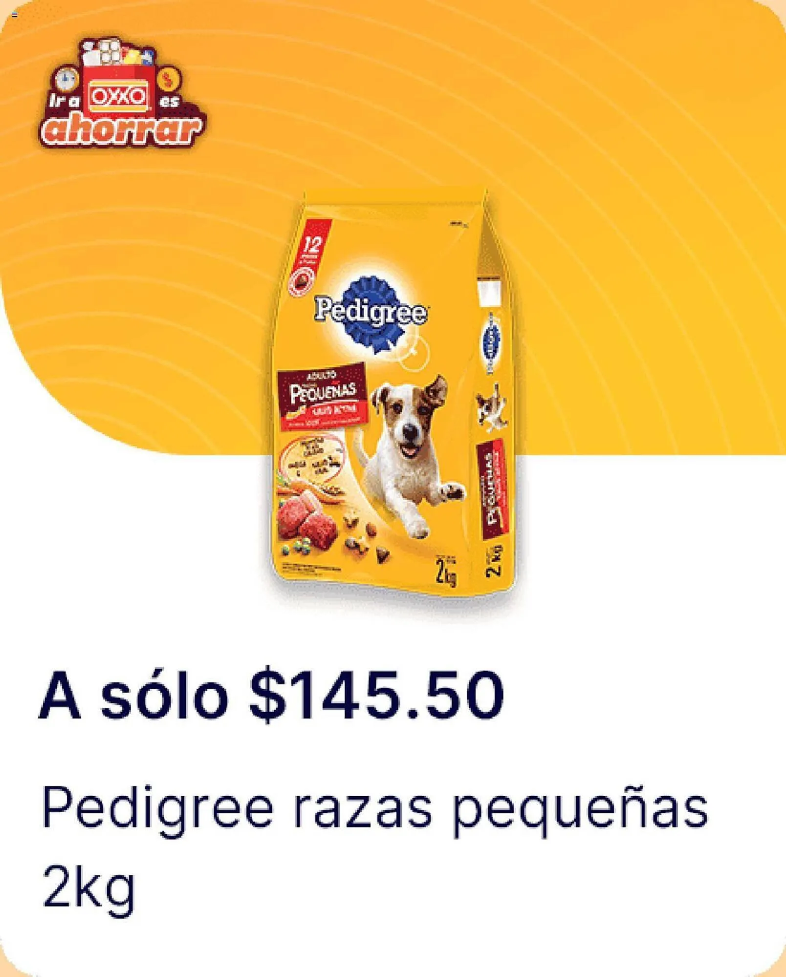 Catálogo de Catálogo OXXO 4 de enero al 24 de enero 2024 - Pagina 81
