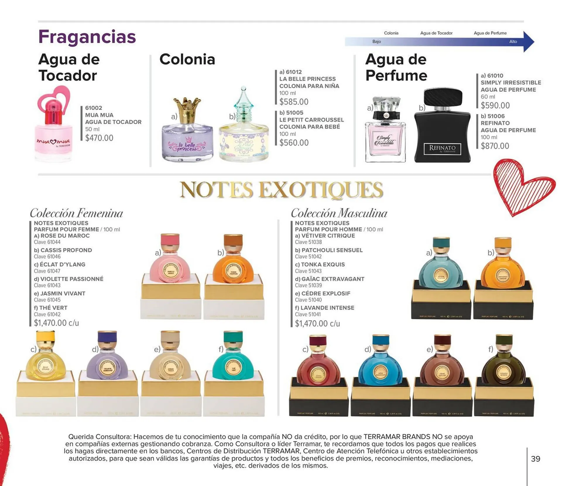 Catálogo de Catálogo Terramar Brands 4 de enero al 31 de enero 2024 - Pagina 39