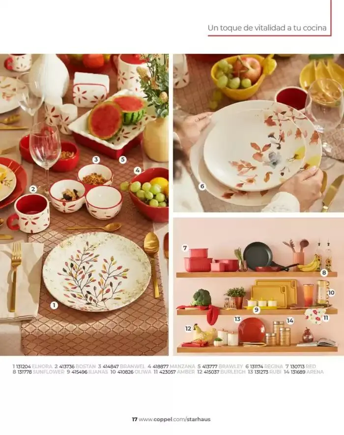 Catálogo de REVISTA MARZO REVISTA STARHAUS 4 de marzo al 31 de agosto 2025 - Pagina 17