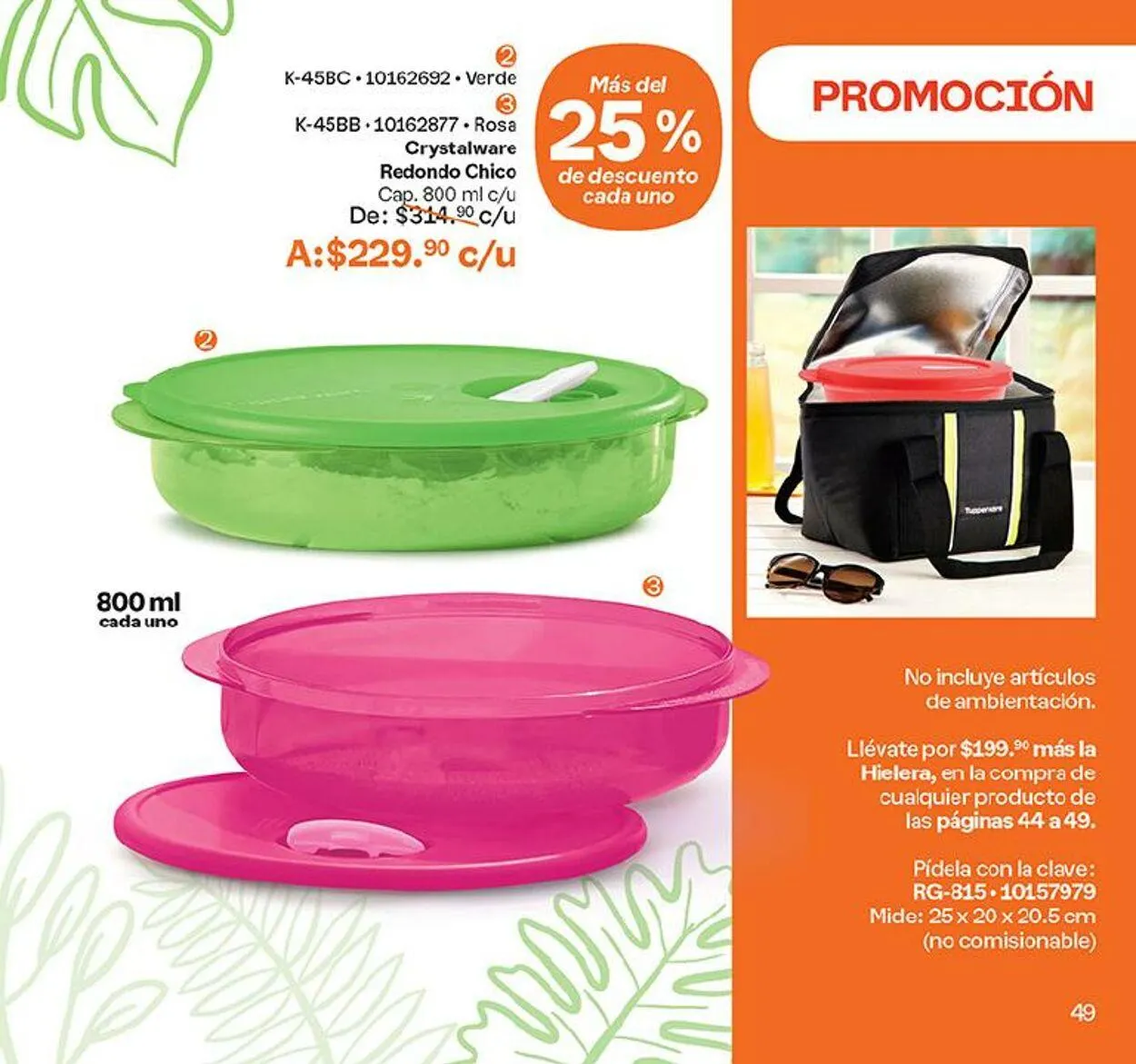 Catálogo de Tupperware 4 de septiembre al 16 de septiembre 2024 - Pagina 49