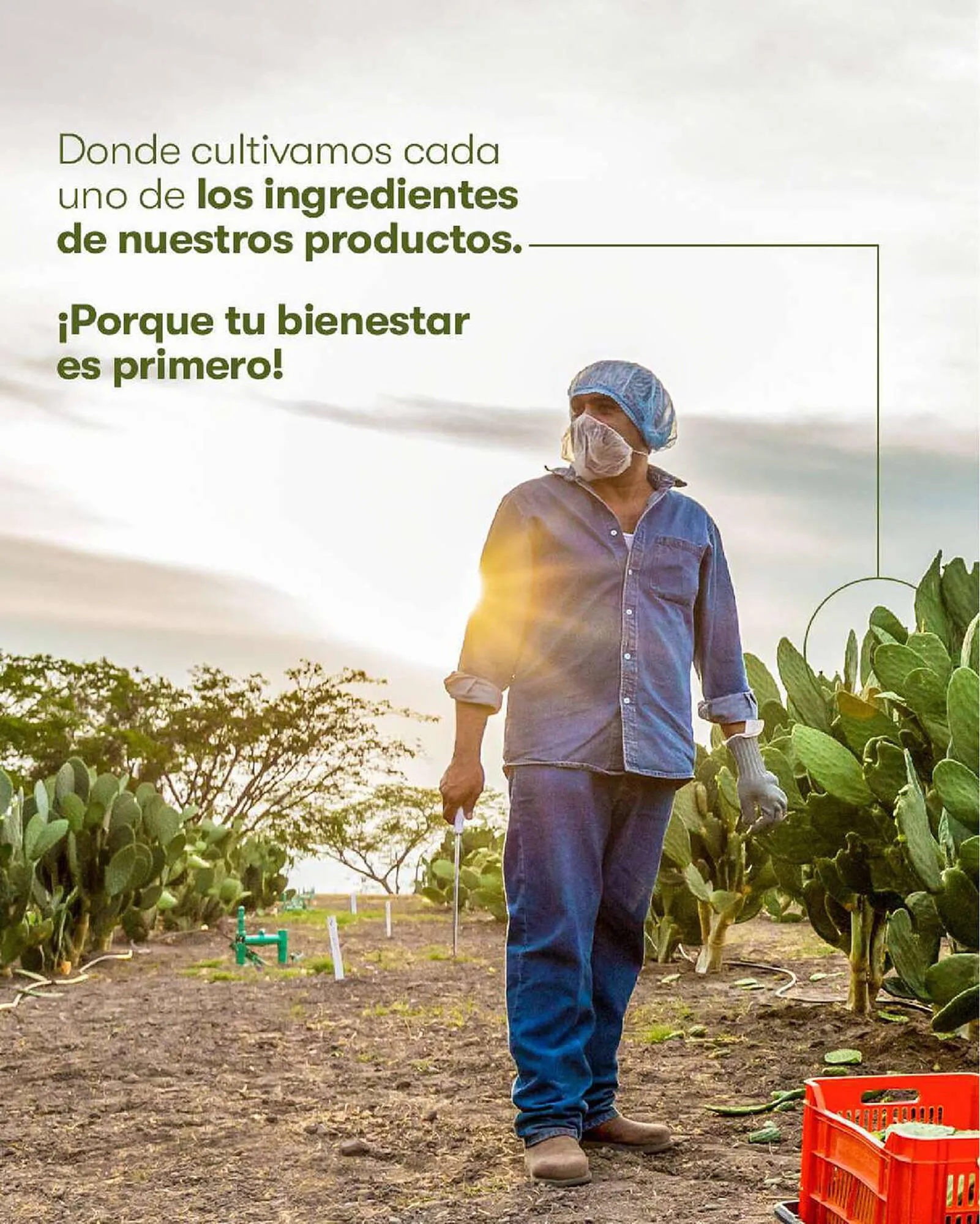 Catálogo de Catálogo Amway 20 de junio al 18 de julio 2023 - Pagina 5