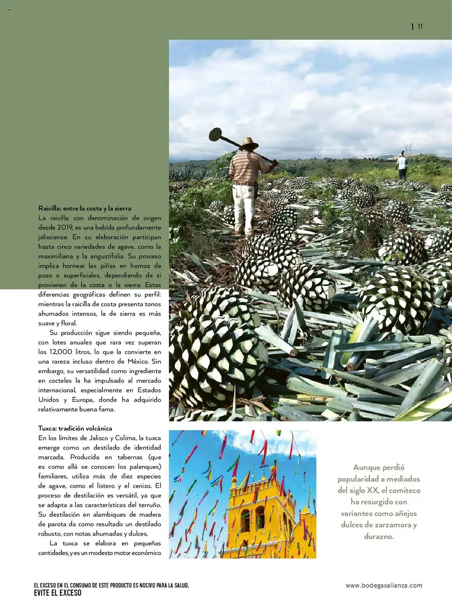 Catálogo de Catálogo Bodegas Alianza 14 de enero al 30 de marzo 2025 - Pagina 13