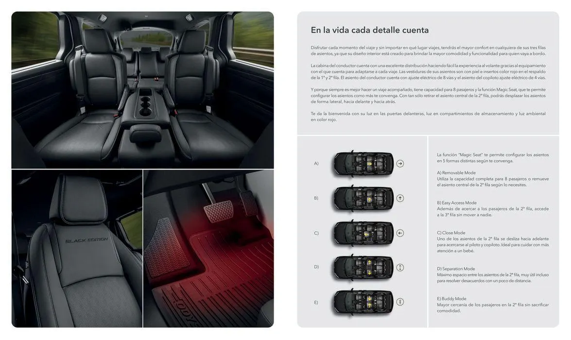 Catálogo de ODYSSEY 2024 22 de mayo al 31 de diciembre 2024 - Pagina 3