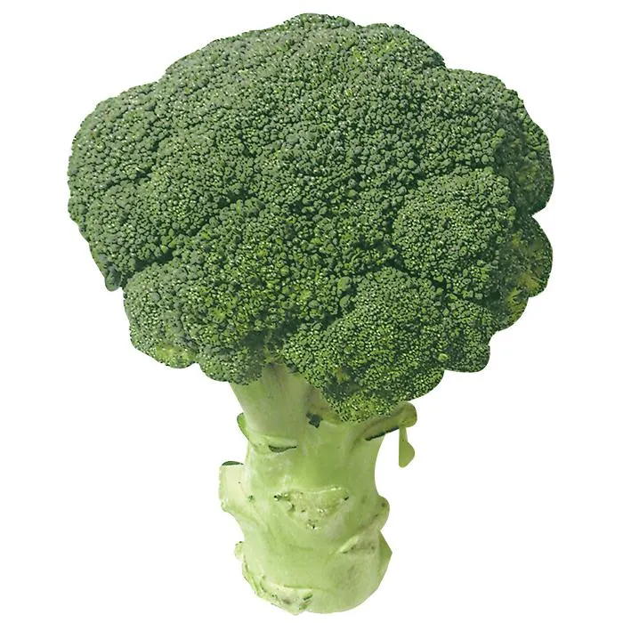 BROCOLI