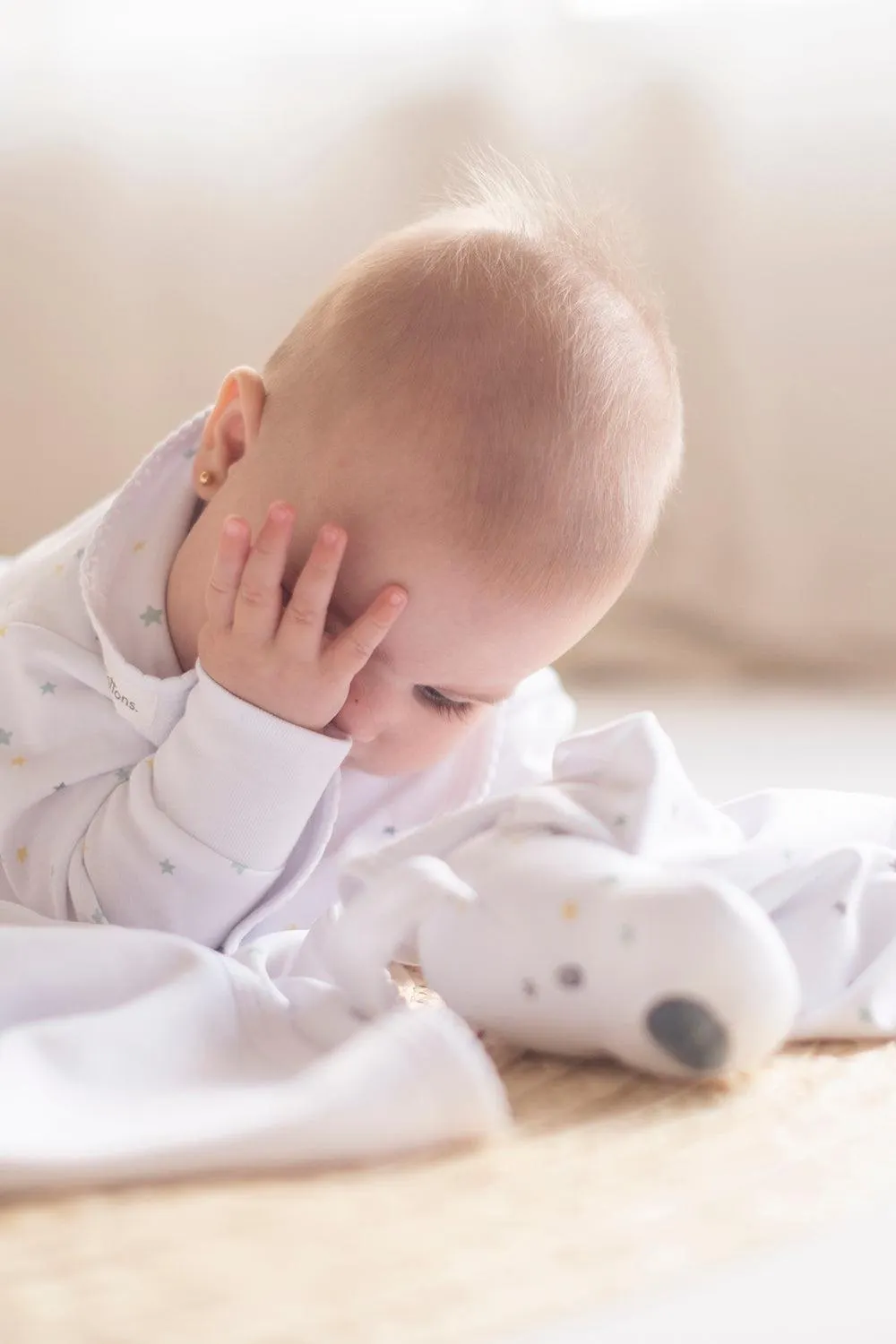 Enterito Toby Little Stars