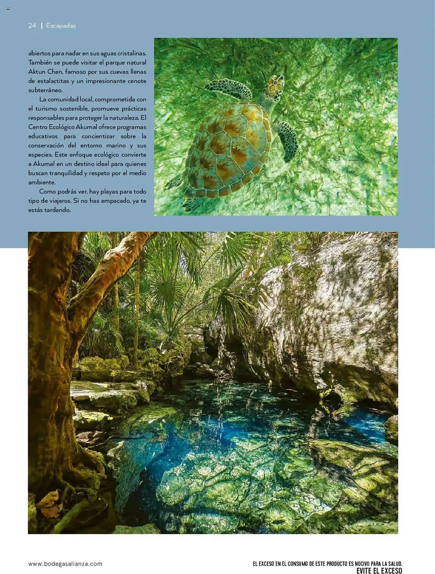 Catálogo de Catálogo Bodegas Alianza 14 de enero al 30 de marzo 2025 - Pagina 26