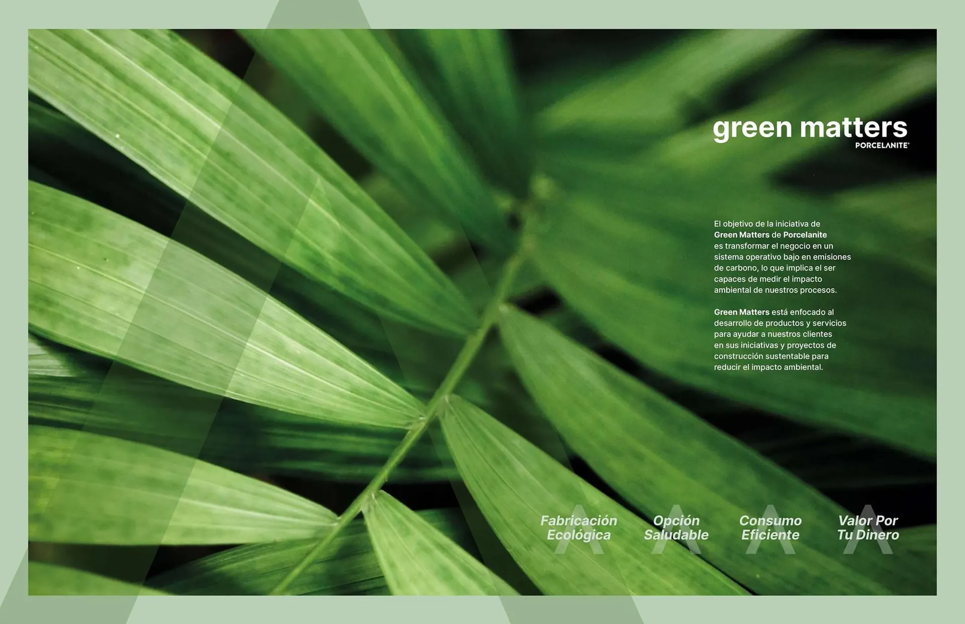 Catálogo de Catálogo Porcelanite 12 de enero al 31 de diciembre 2026 - Pagina 3