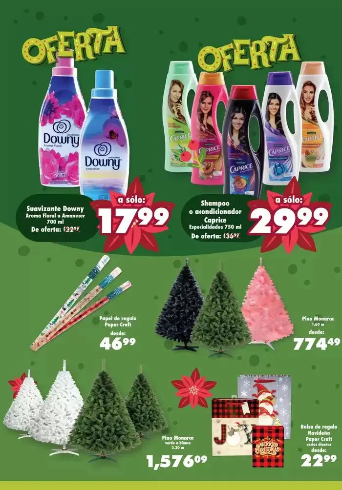 Catálogo de Ofertas exclusivas para nuestros clientes 29 de noviembre al 2 de diciembre 2024 - Pagina 2