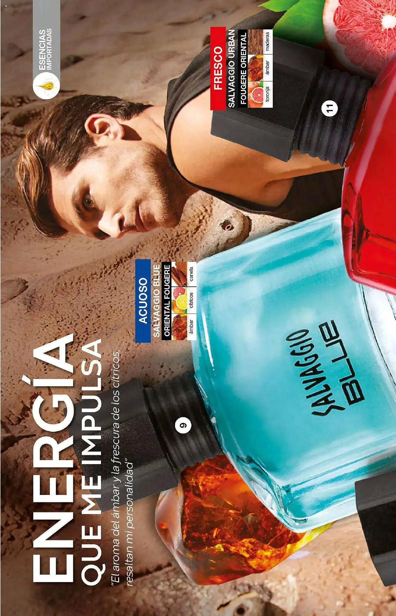 Catálogo de Catálogo Fuller 7 de enero al 28 de enero 2026 - Pagina 10