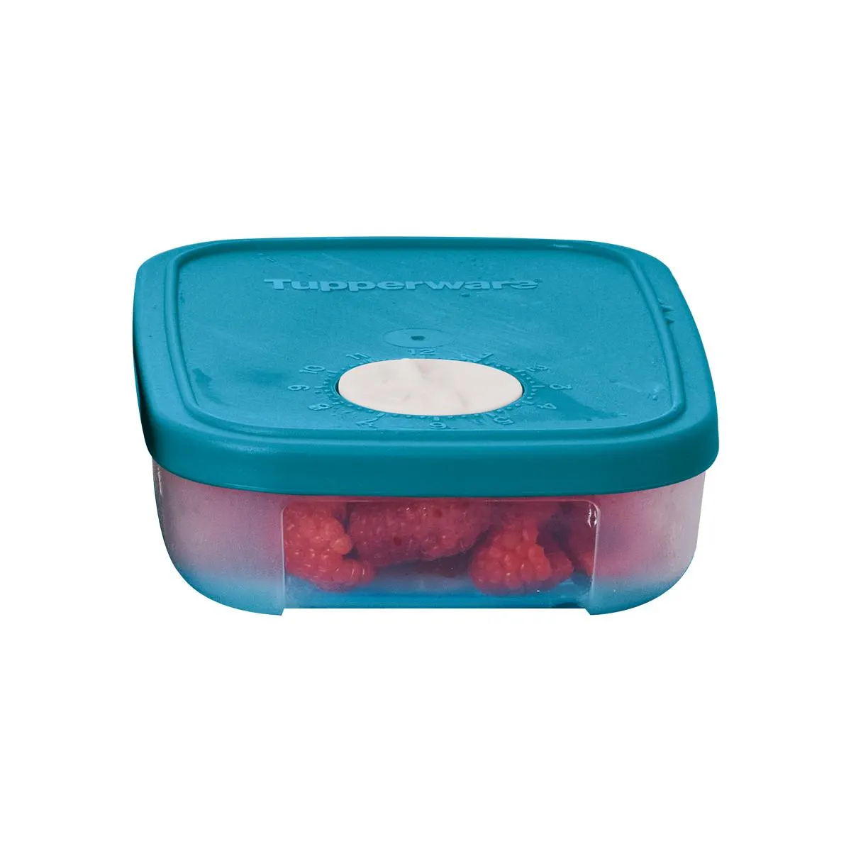 Recipiente para congelar alimentos Tupperware 250ml con fechador.