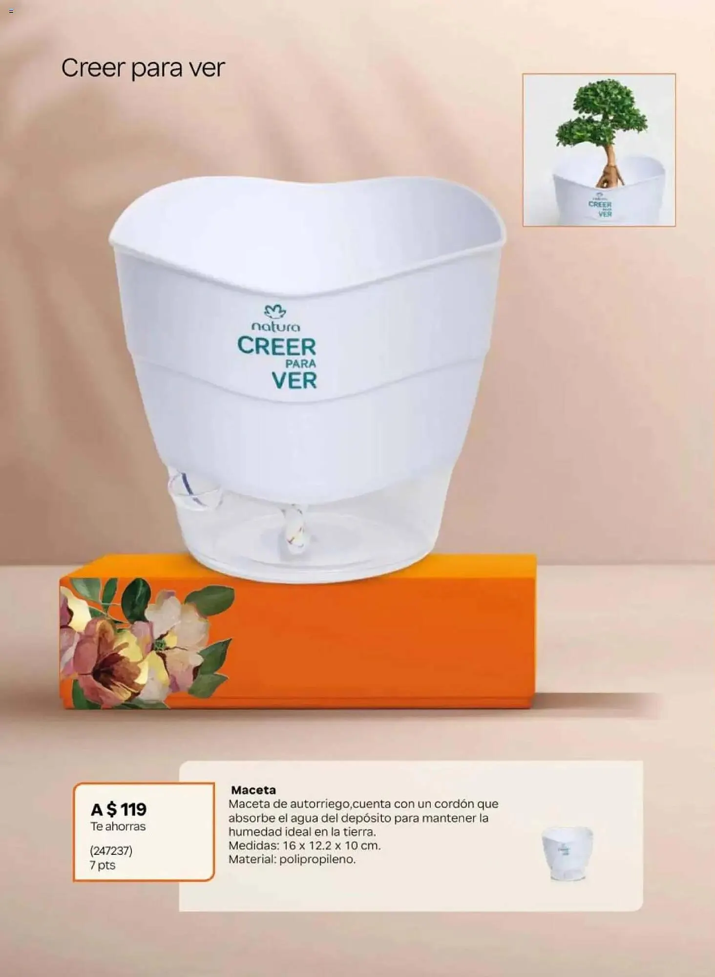 Catálogo de Catálogo Natura 24 de abril al 28 de mayo 2026 - Pagina 22