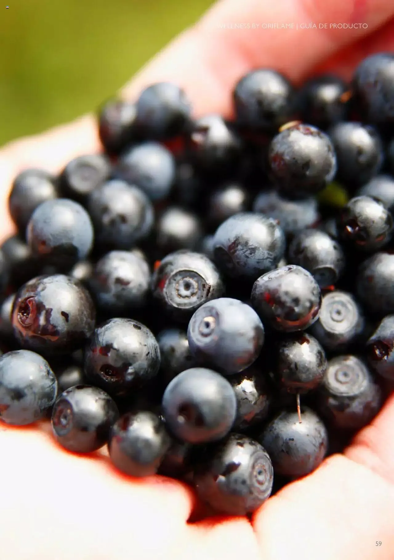 Catálogo de Oriflame - Guía de Producto Wellness 10 de noviembre al 31 de diciembre 2024 - Pagina 55