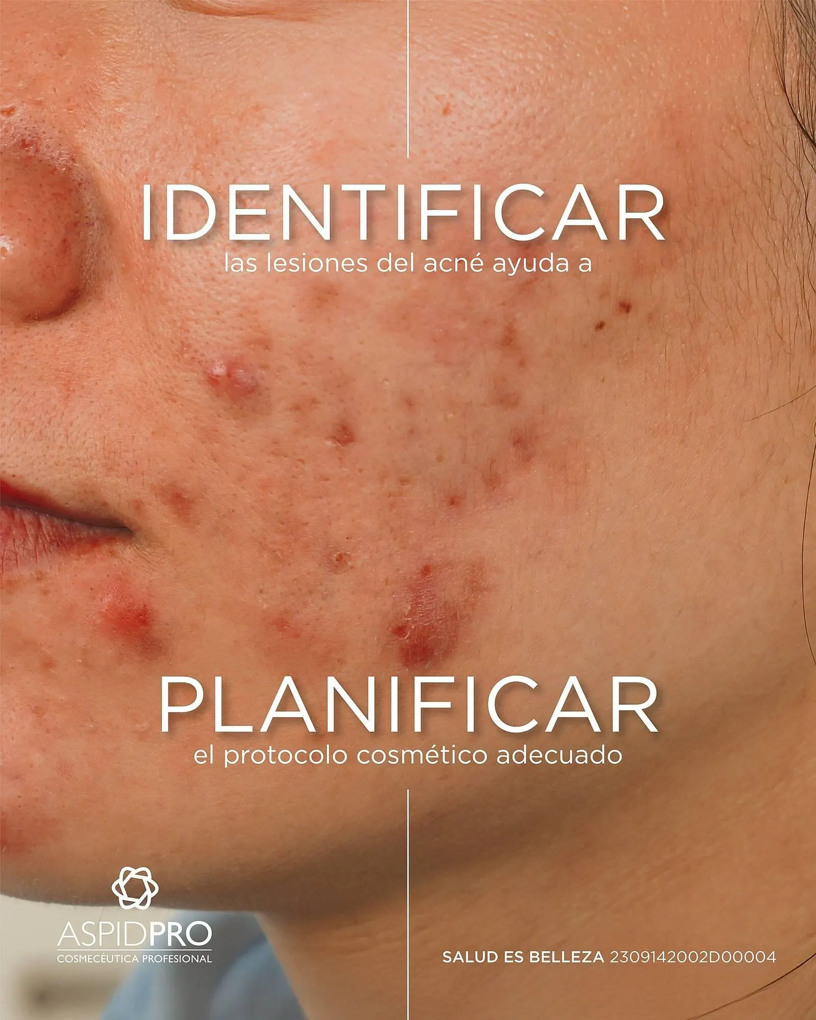 Catálogo de Catálogo AspidPro 11 de julio al 11 de julio 2025 - Pagina 1