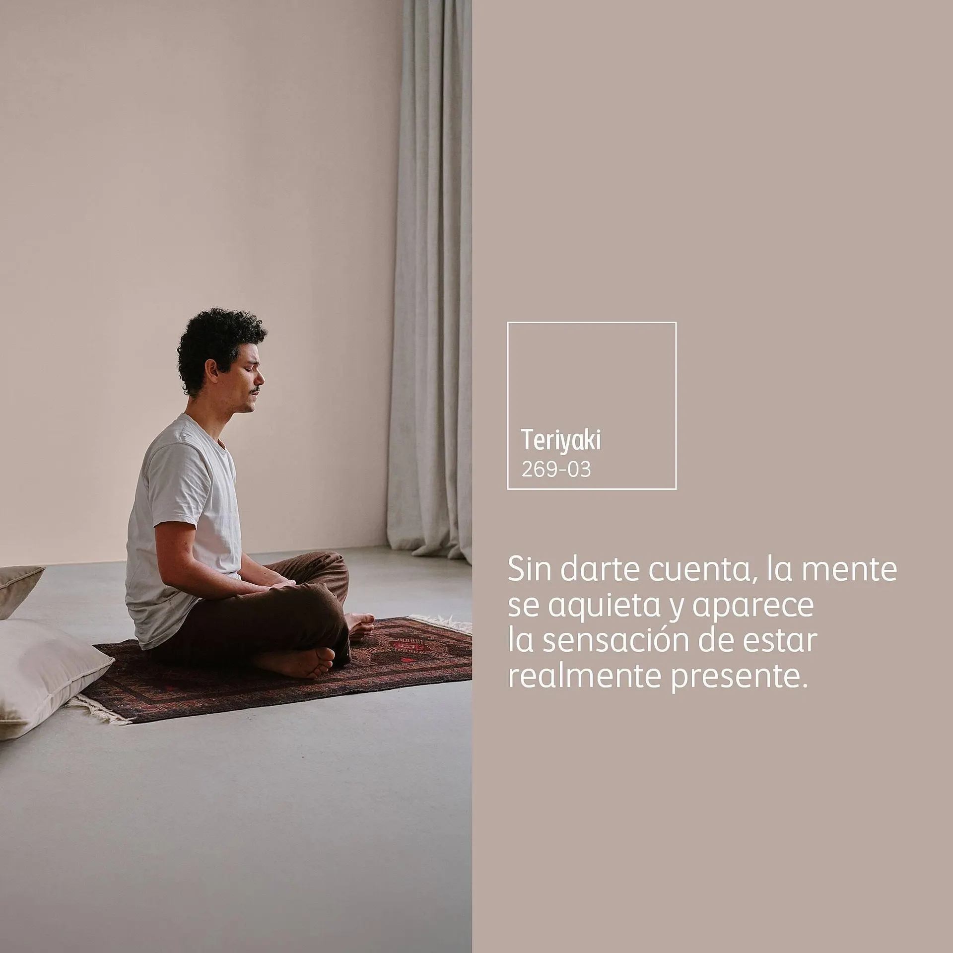 Catálogo de Catálogo Comex 10 de diciembre al 16 de diciembre 2025 - Pagina 3