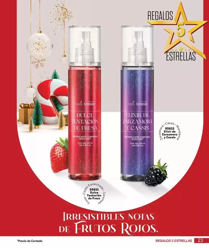 Catálogo de La esencia que transforma. 4 de diciembre al 31 de diciembre 2024 - Pagina 23