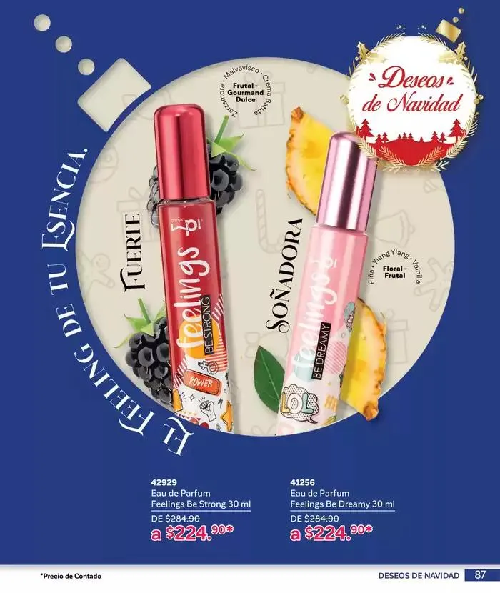 Catálogo de La esencia que transforma. 4 de diciembre al 31 de diciembre 2024 - Pagina 87