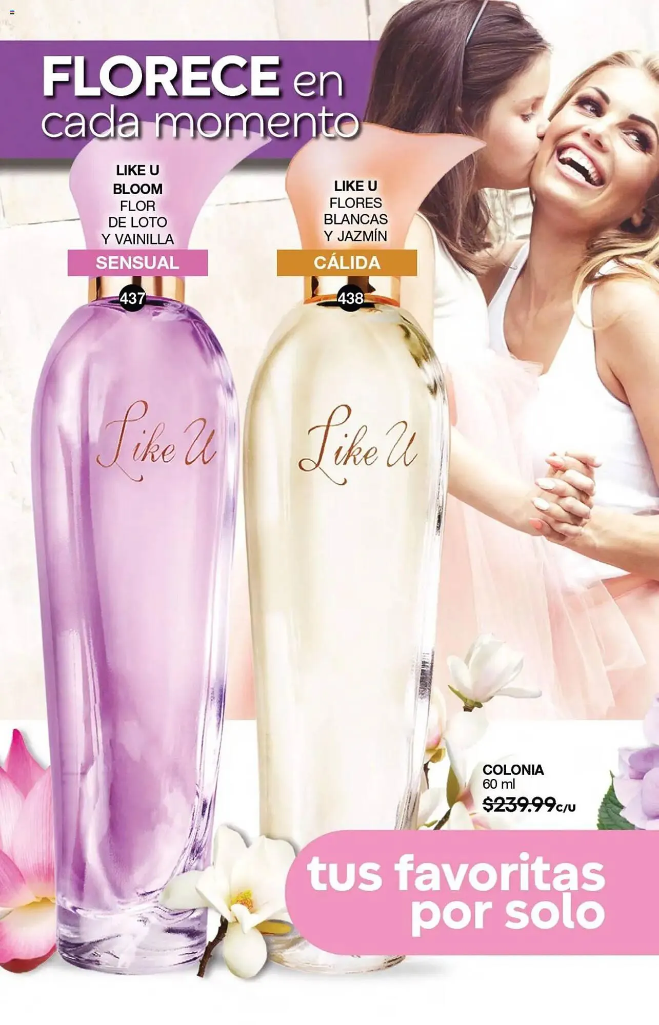 Catálogo de Catálogo Fuller 9 de julio al 30 de julio 2025 - Pagina 140