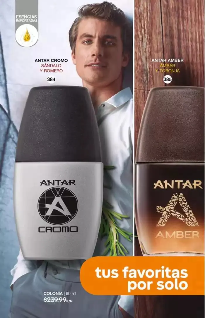 Catálogo de Fuller CAMPAÑA 18 12 de diciembre al 31 de diciembre 2024 - Pagina 54