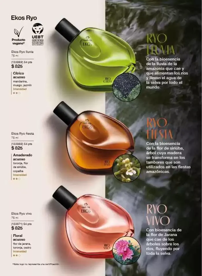 Catálogo de Revista Natura Ciclo 8 2025 1 de agosto al 31 de agosto 2025 - Pagina 56