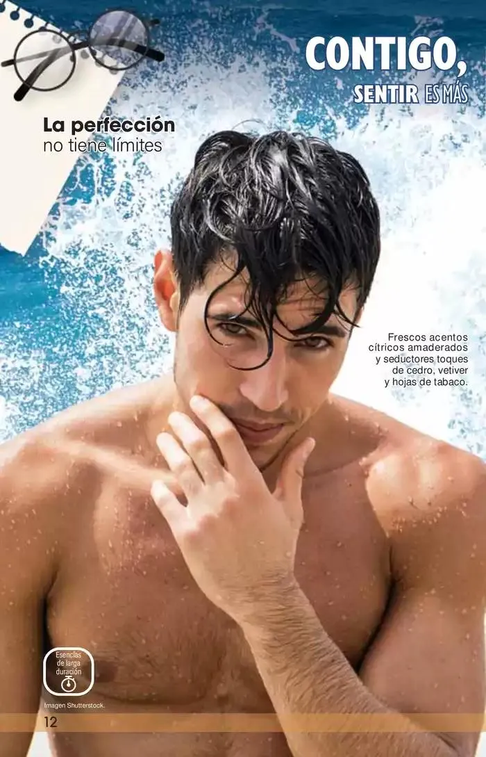 Catálogo de MX 12 de mayo al 29 de mayo 2025 - Pagina 12