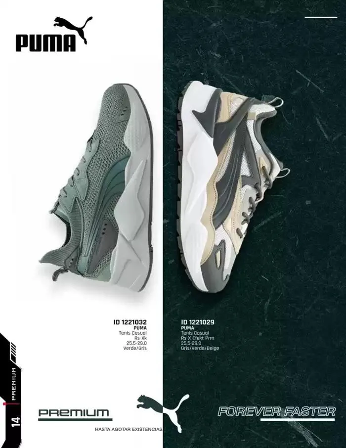 Catálogo de IMP PREMIUM 16 de diciembre al 16 de marzo 2025 - Pagina 14