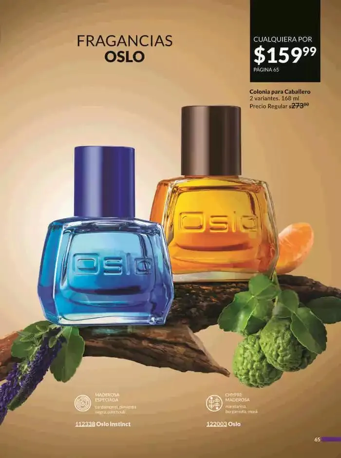 Catálogo de Avon COSMÉTICOS C2 3 de enero al 3 de febrero 2025 - Pagina 65