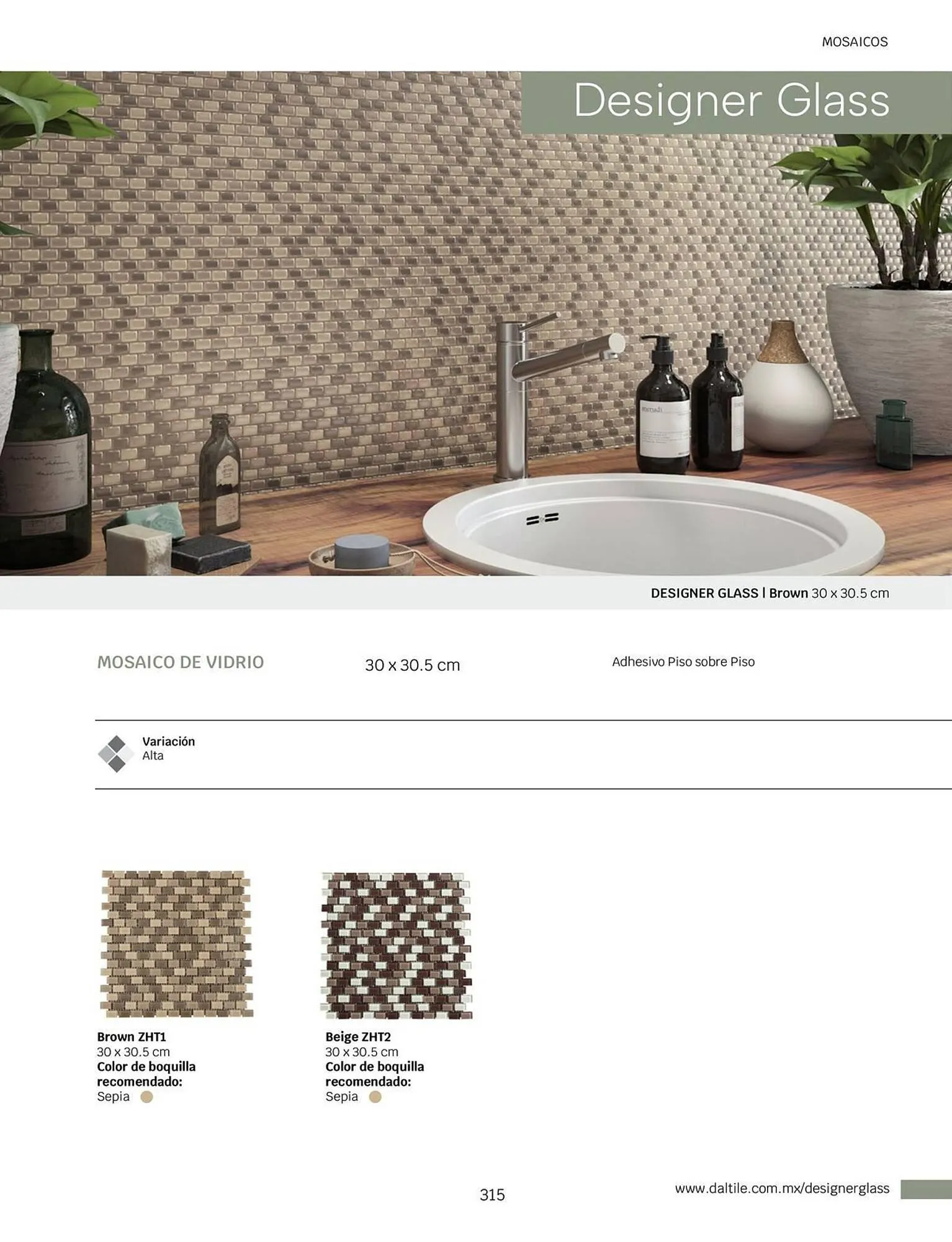 Catálogo de Catálogo Daltile 1 de enero al 31 de diciembre 2024 - Pagina 315