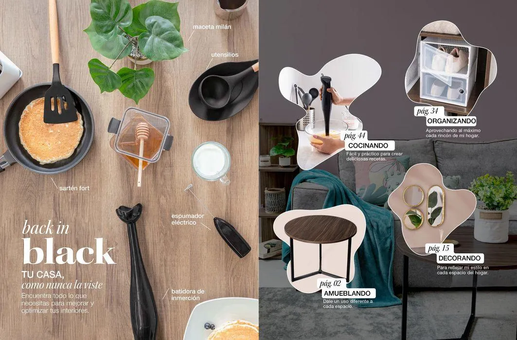 Catálogo de BIASI 2024 19 de enero al 31 de diciembre 2024 - Pagina 2