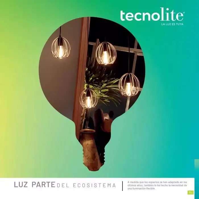 Catálogo de Catálogo 2024 10 de octubre al 31 de enero 2025 - Pagina 315