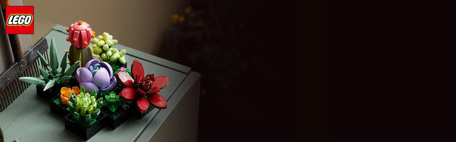 VER TODAS LAS EDADES