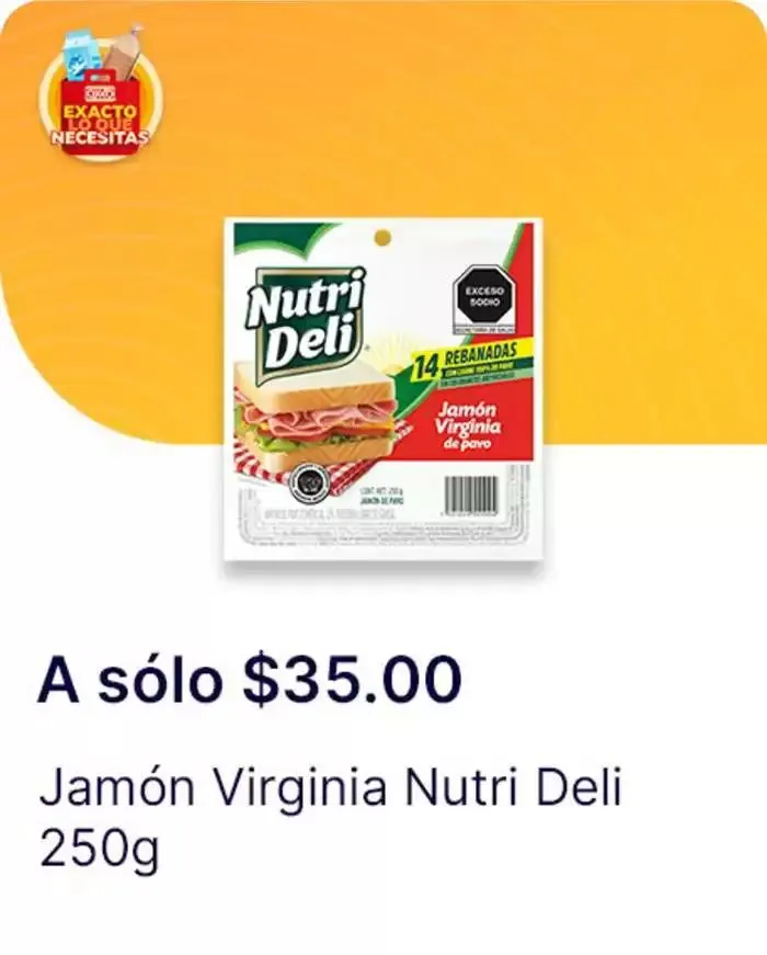 Catálogo de Exacto lo que necesitas 7 de enero al 22 de enero 2025 - Pagina 133