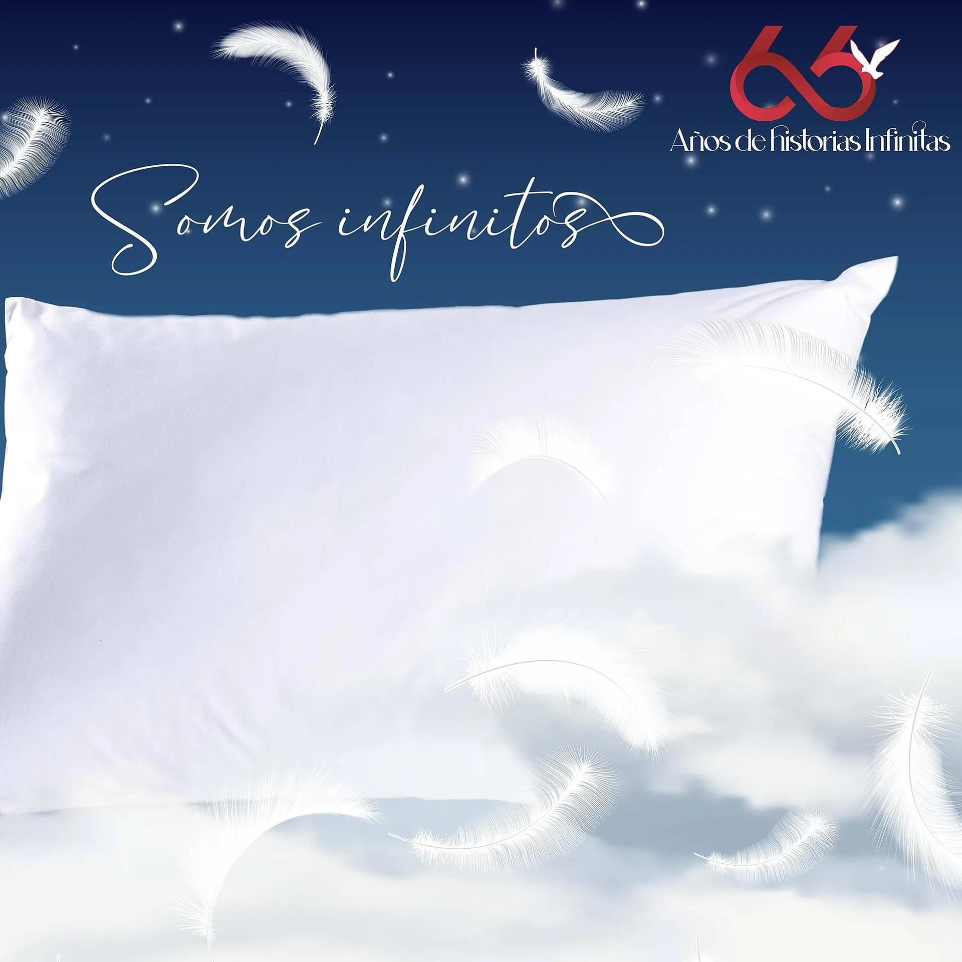 Catálogo de Catálogo Colchas Concord 5 de octubre al 11 de octubre 2025 - Pagina 2