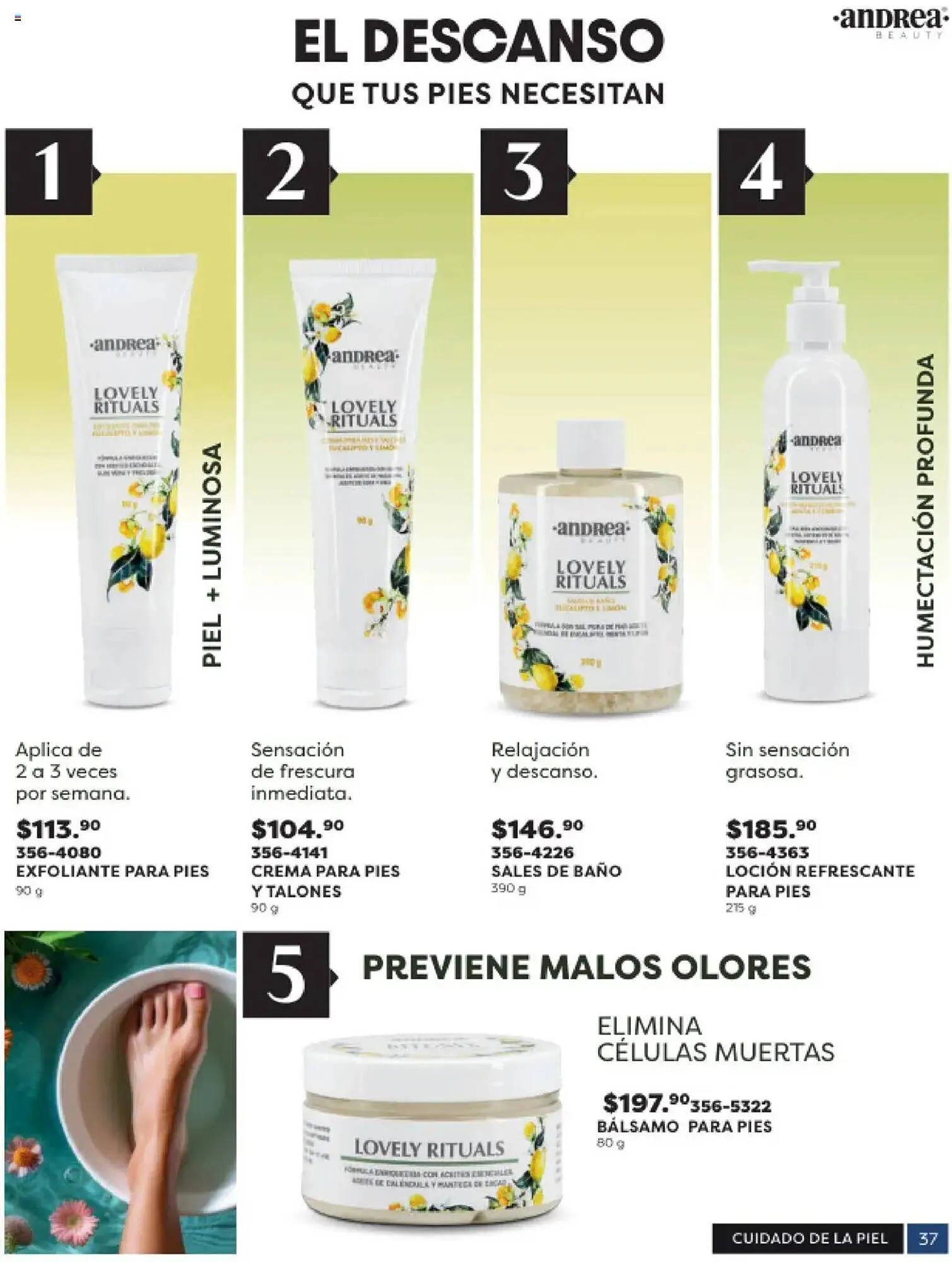 Catálogo de Catálogo Andrea 3 de octubre al 19 de octubre 2025 - Pagina 37