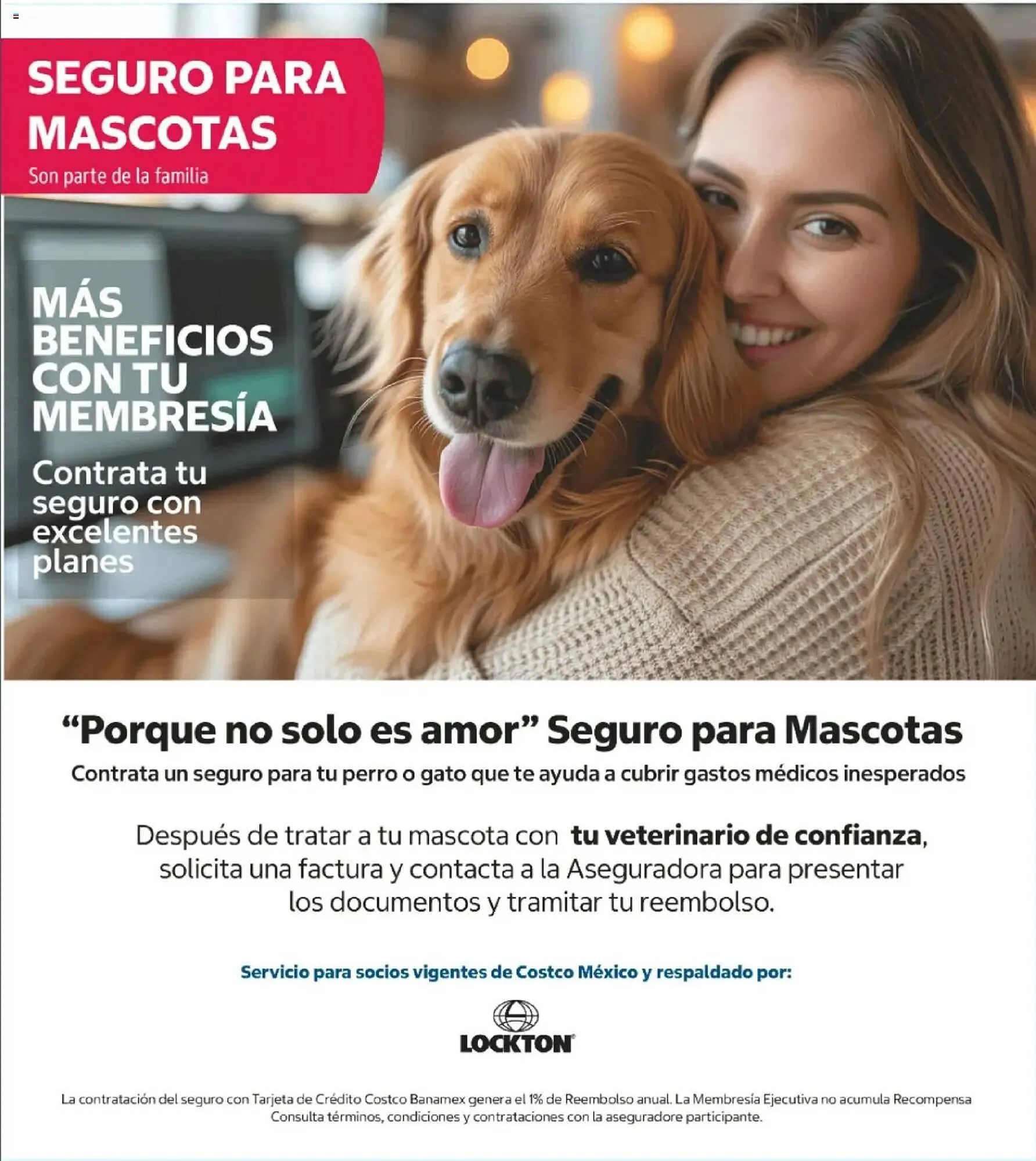 Catálogo de Catálogo Costco 11 de mayo al 17 de mayo 2026 - Pagina 8