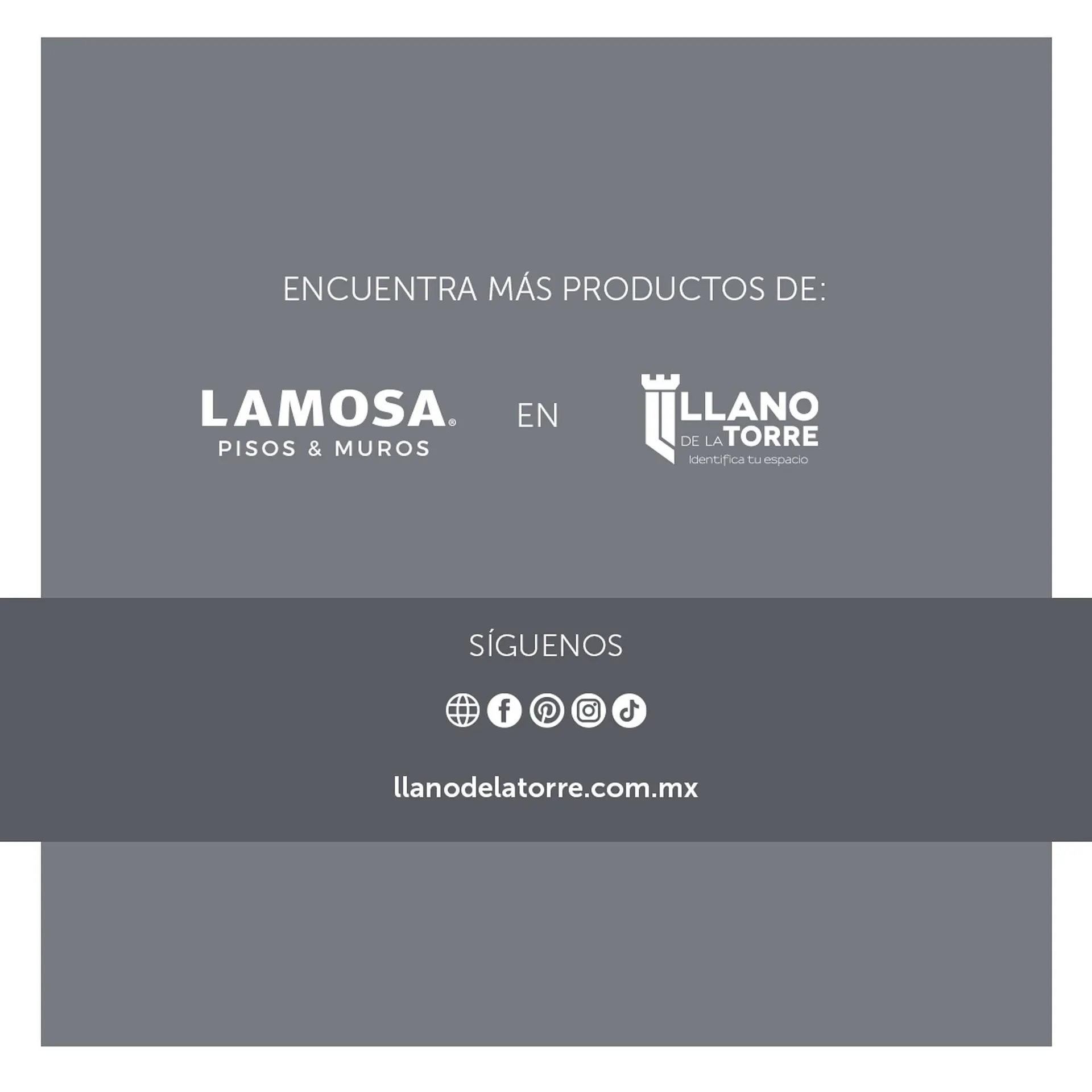 Catálogo de Catálogo Llano de la Torre 8 de febrero al 14 de febrero 2025 - Pagina 3