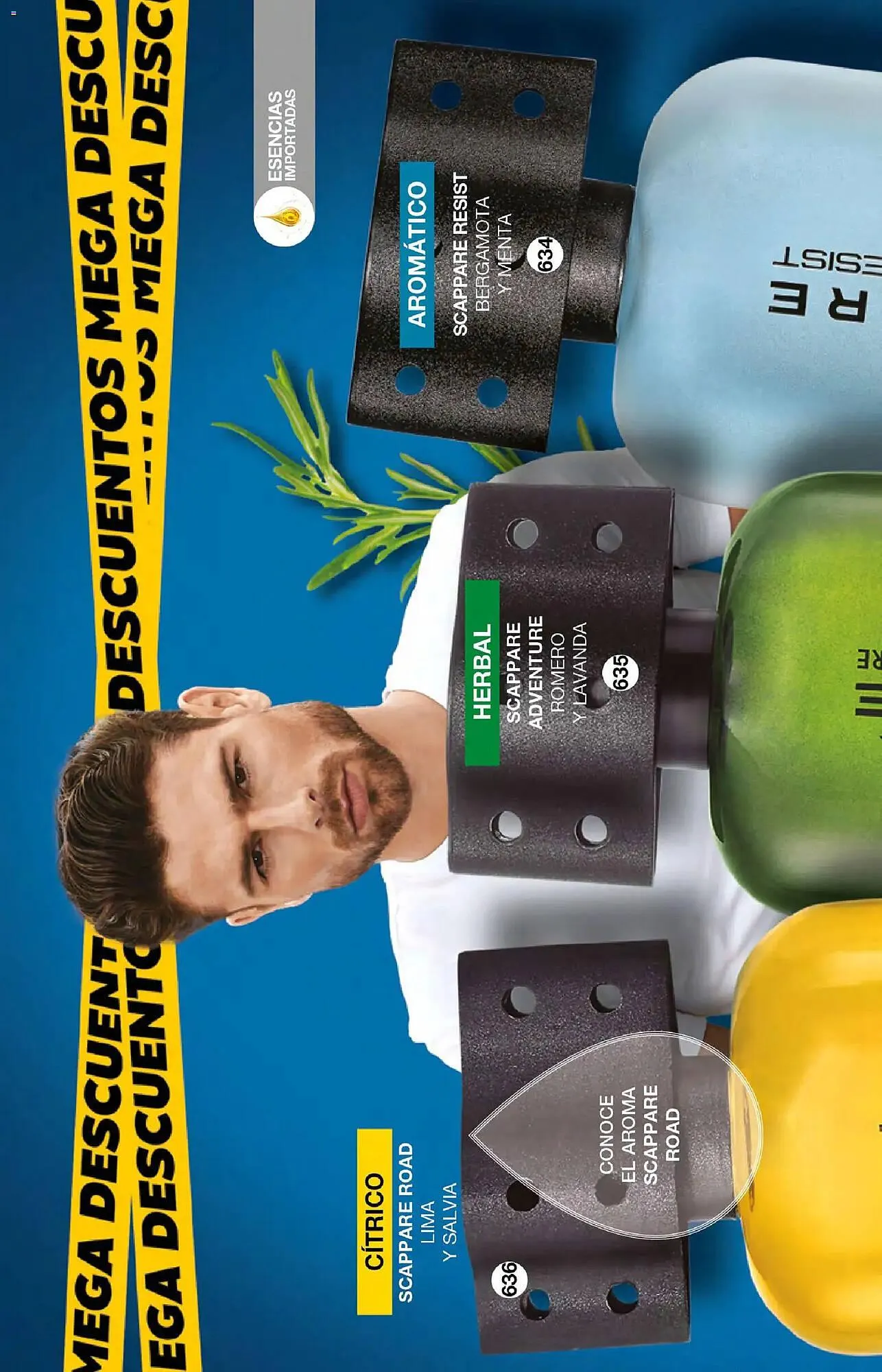 Catálogo de Catálogo Fuller 21 de enero al 10 de febrero 2026 - Pagina 208