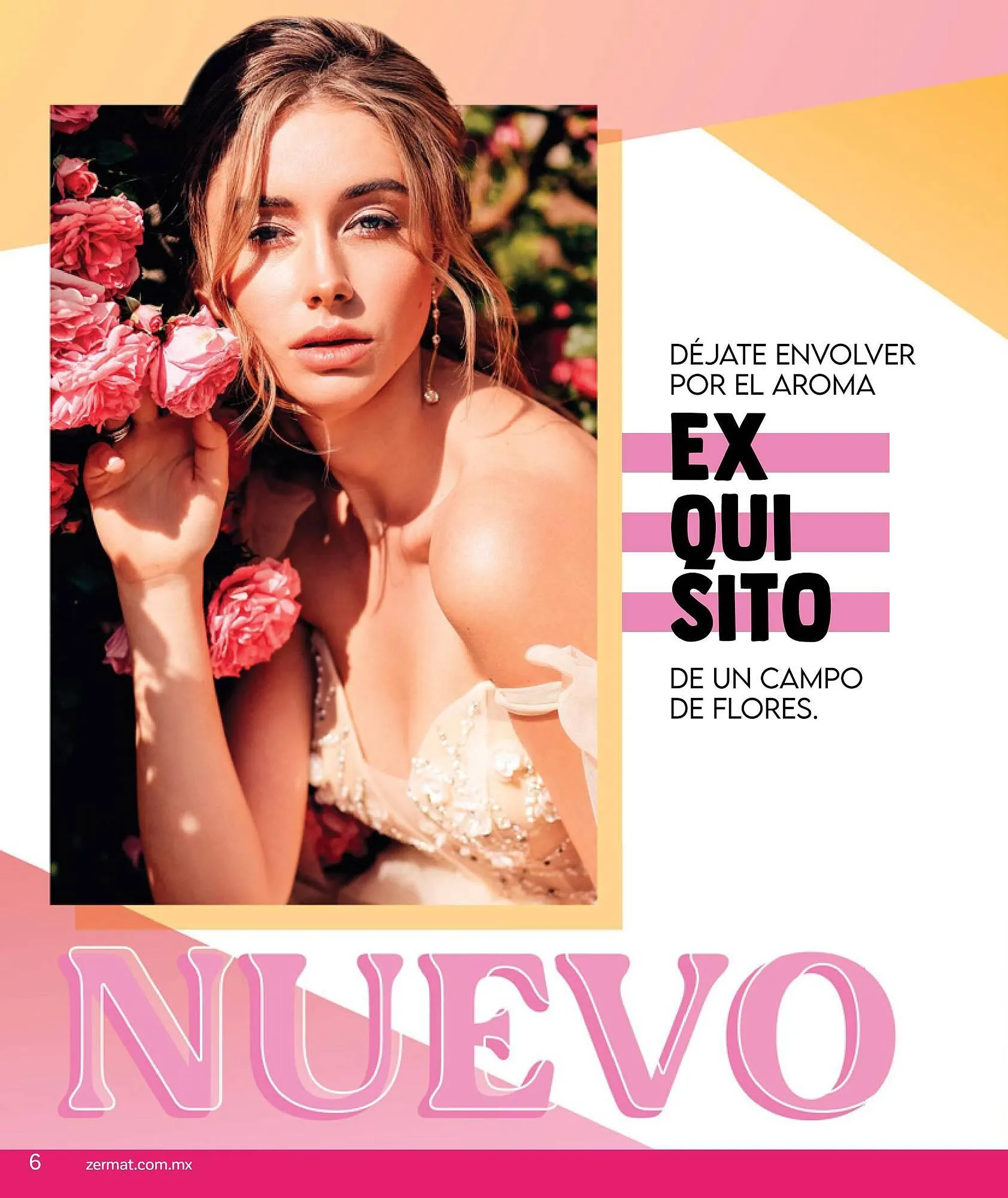 Catálogo de Catálogo Zermat 1 de agosto al 31 de agosto 2025 - Pagina 6