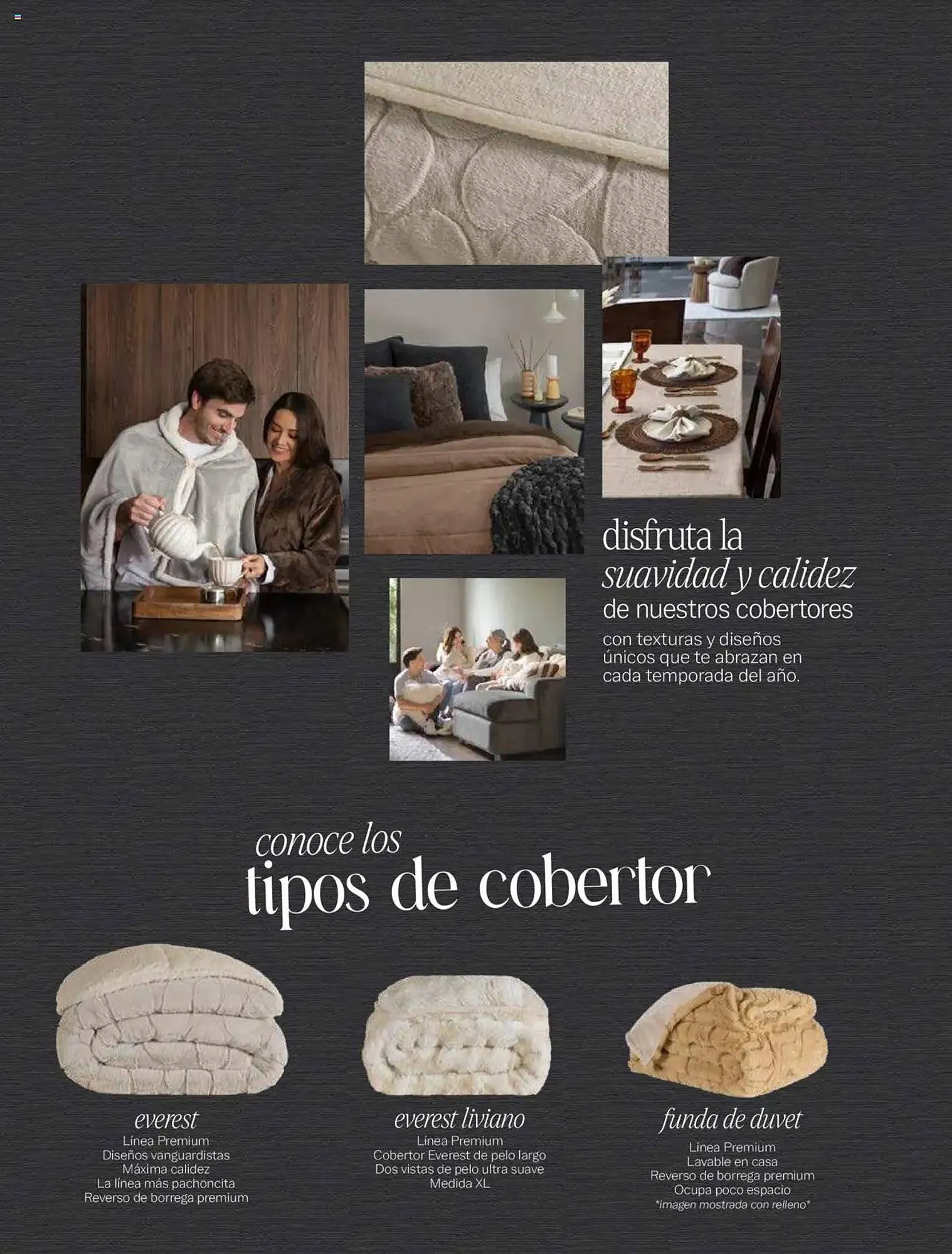 Catálogo de Catálogo Vianney 15 de agosto al 1 de abril 2026 - Pagina 2