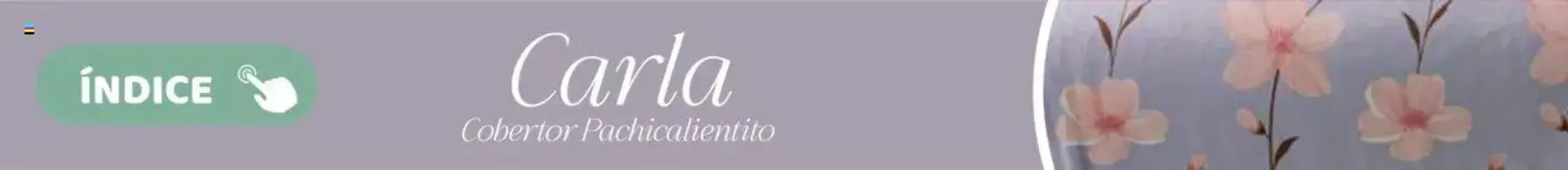 Catálogo de Catálogo Colchas Concord 1 de agosto al 1 de noviembre 2025 - Pagina 724