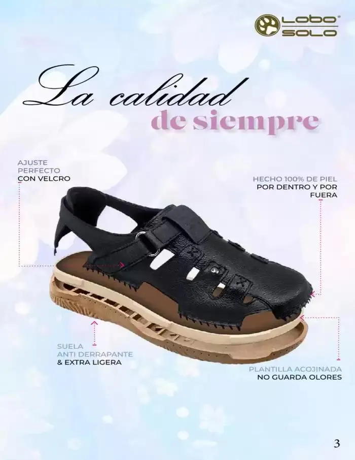 Catálogo de CALZADO ESPECIAL | ACO | 2025 | 1E 1 de abril al 30 de junio 2025 - Pagina 3