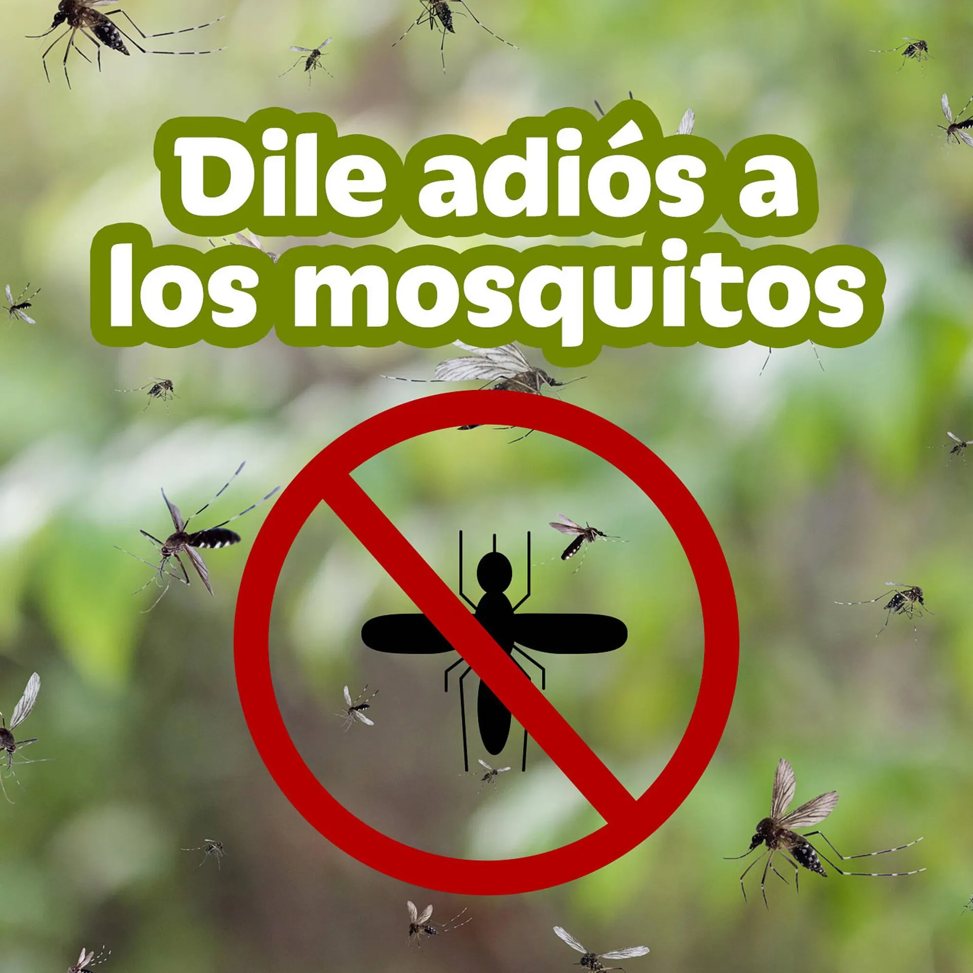 Catálogo de Catálogo BetterWare 2 de julio al 10 de julio 2025 - Pagina 1