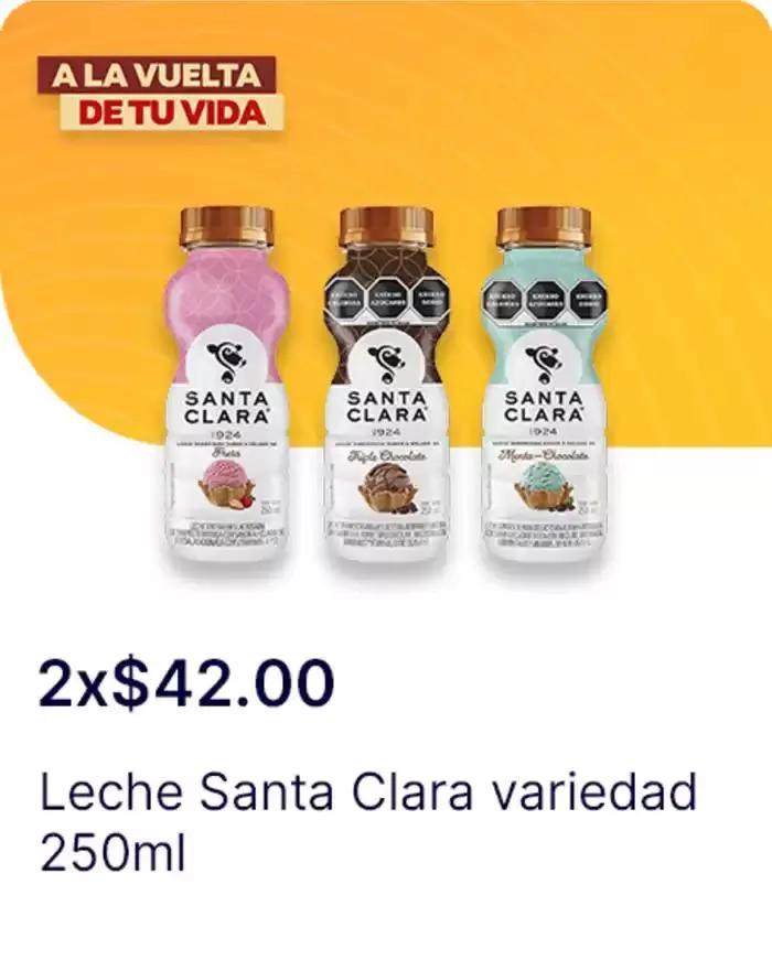 Catálogo de Ofertas principales para todos los cazadores de gangas 11 de diciembre al 25 de diciembre 2024 - Pagina 101