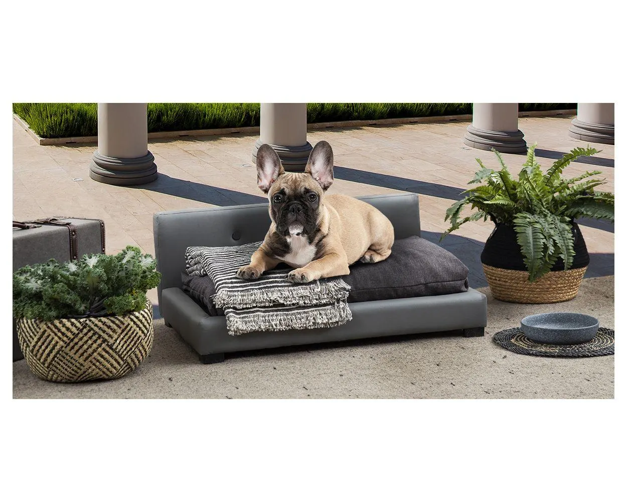 Cama Para Mascota Pet Frida