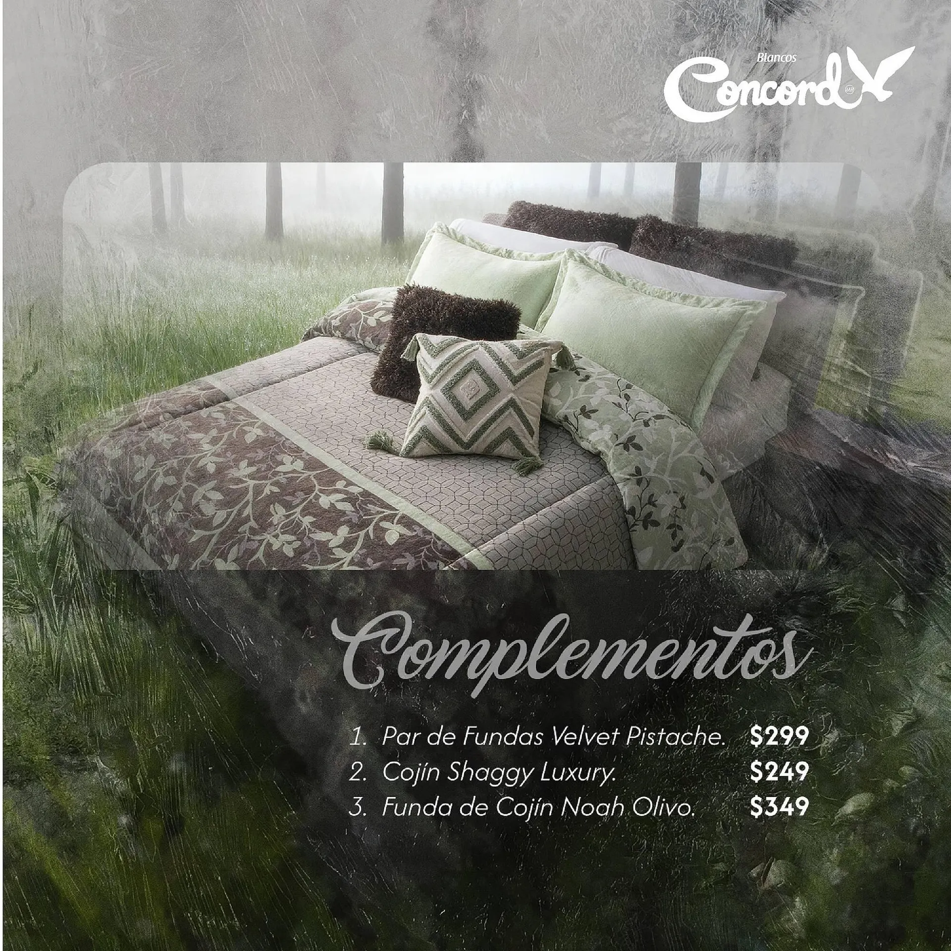 Catálogo de Catálogo Colchas Concord 6 de noviembre al 12 de noviembre 2025 - Pagina 2