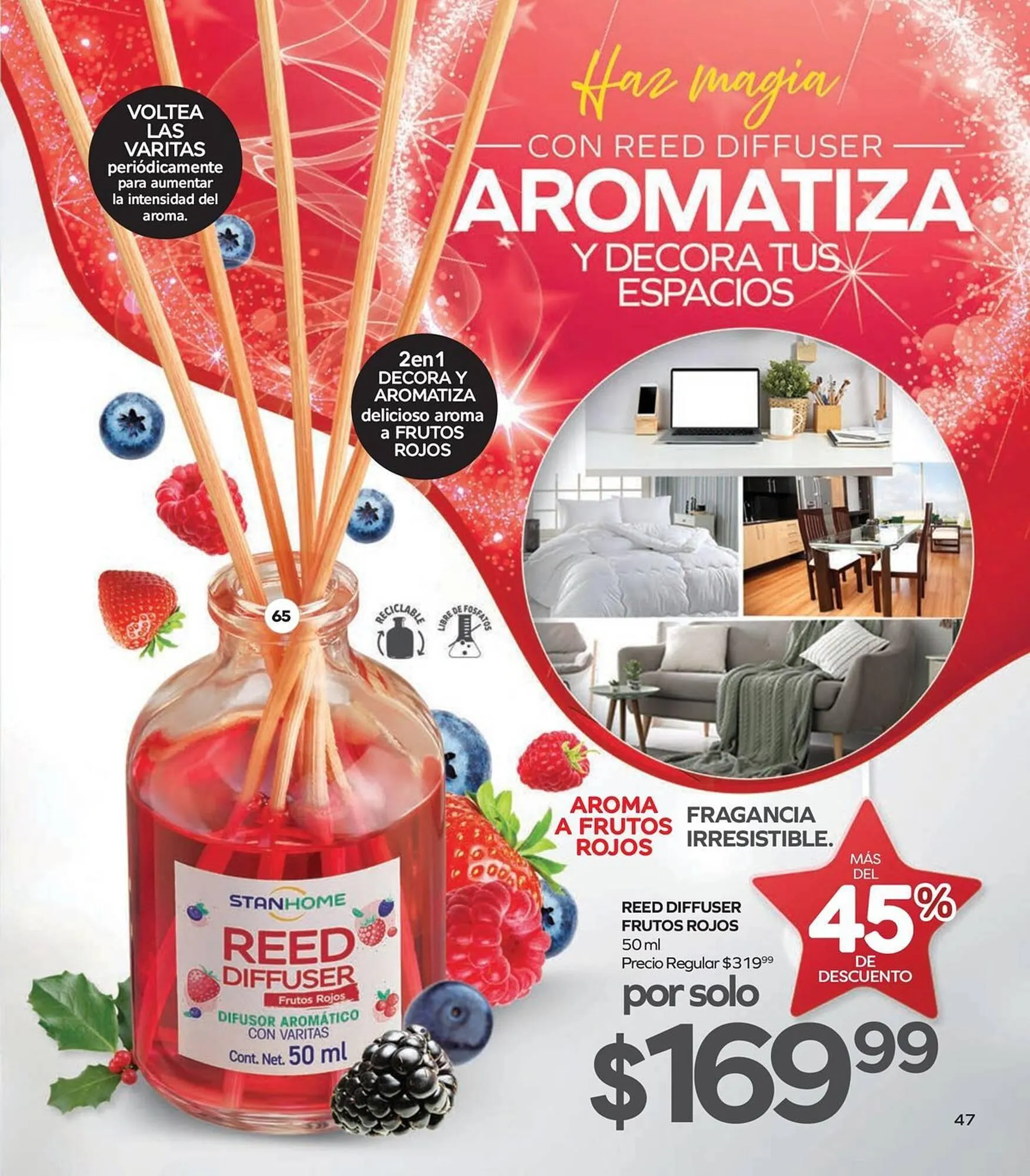 Catálogo de Catálogo Stanhome 24 de noviembre al 11 de diciembre 2025 - Pagina 51