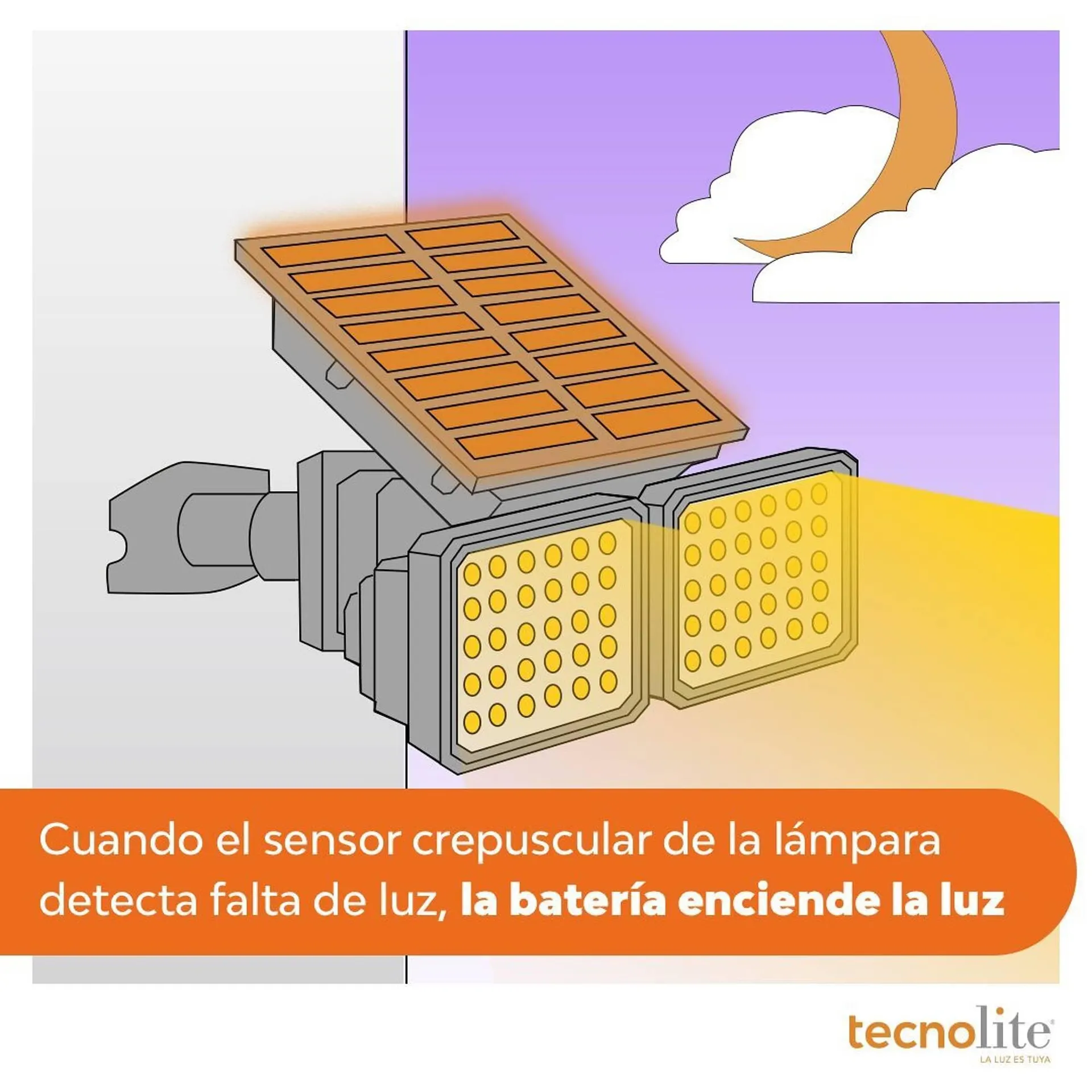 Catálogo de Catálogo Tecnolite 3 de septiembre al 30 de septiembre 2025 - Pagina 5