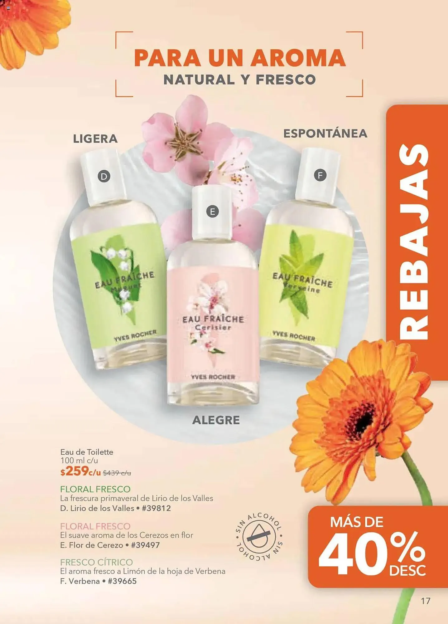 Catálogo de Catálogo Yves Rocher 15 de julio al 5 de agosto 2025 - Pagina 17