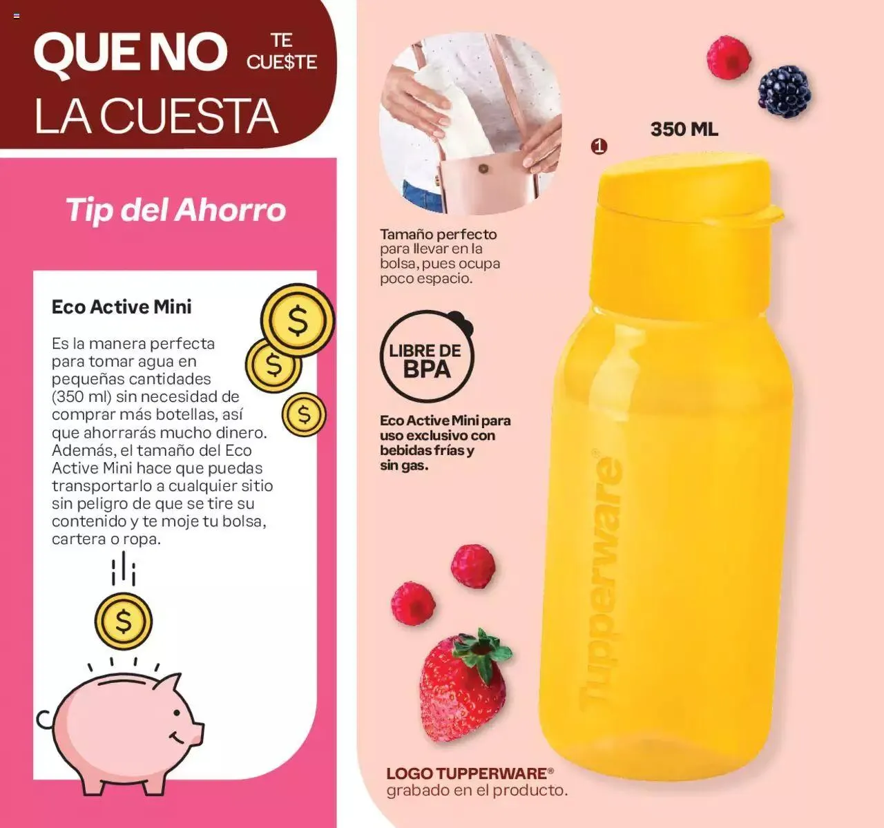 Catálogo de Tupperware catálogo 1 de enero al 21 de enero 2024 - Pagina 18