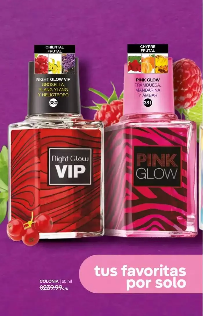 Catálogo de Fuller CAMPAÑA 18 12 de diciembre al 31 de diciembre 2024 - Pagina 51