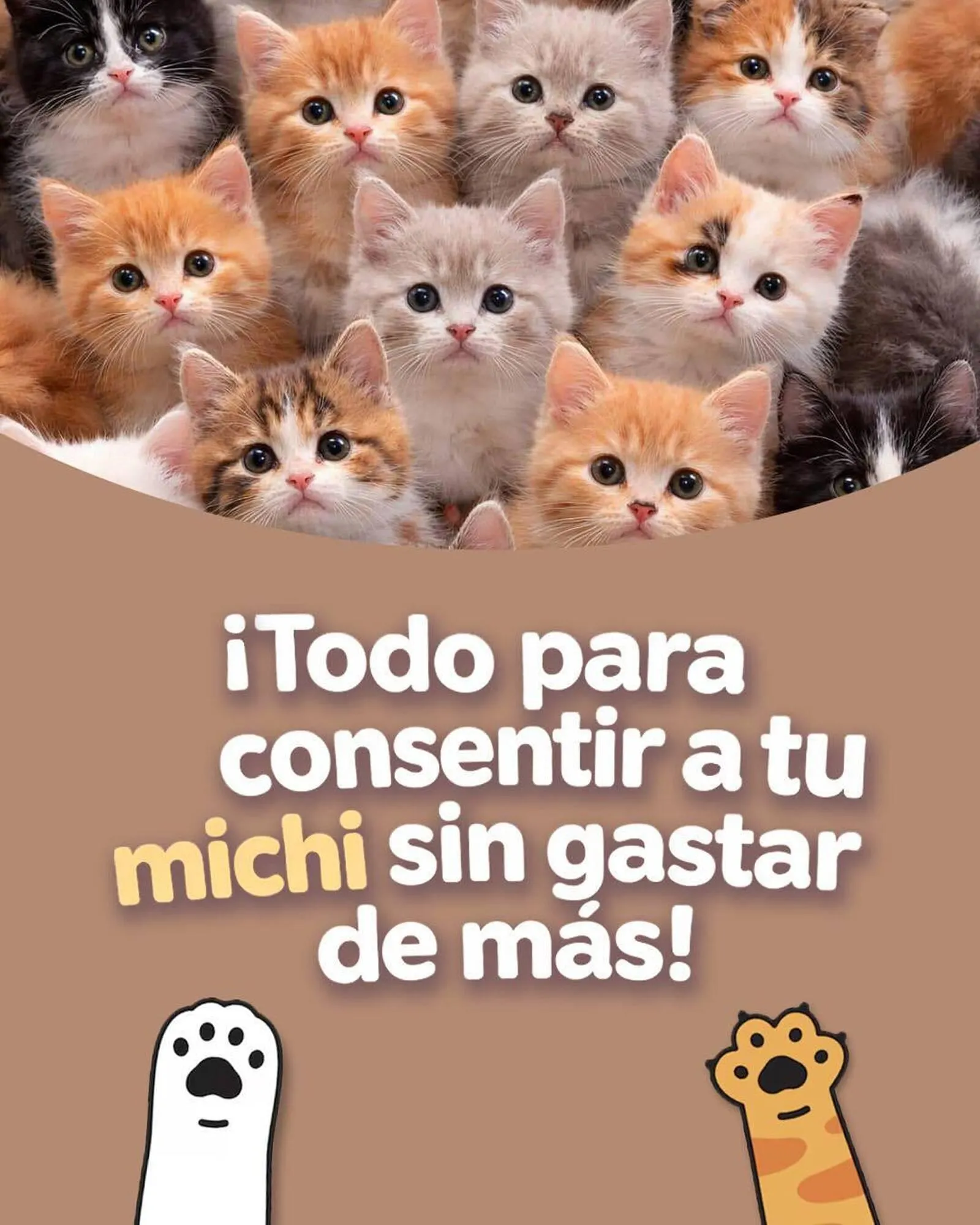Catálogo Tiendas Tres B - 1